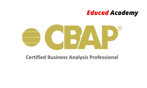 CBAP Certified Business Analysis Professional Training