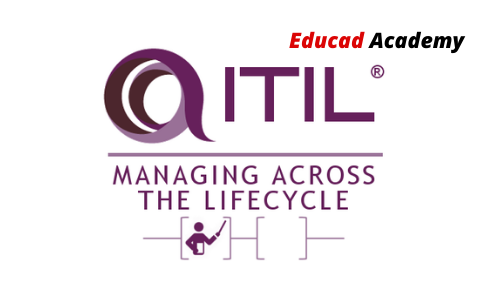 ITIL Managing Across the Lifecycle (MALC)