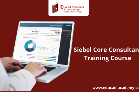 Siebel Core Consultant Training Course
