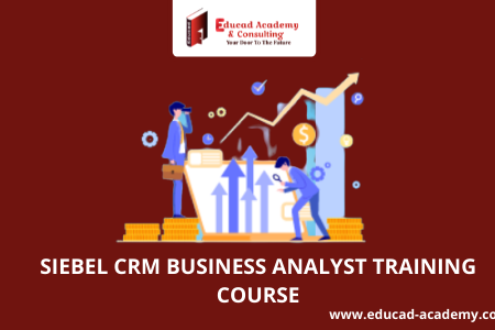SIEBEL CRM BUSINESS ANALYST TRAINING COURSE