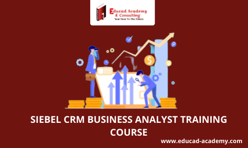SIEBEL CRM Business Analyst Training Course