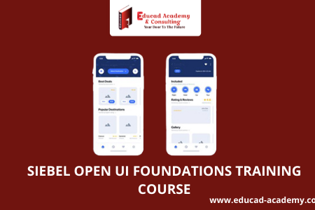 SIEBEL OPEN UI FOUNDATIONS TRAINING COURSE