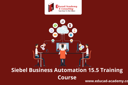 Siebel Business Automation 15.5 Training Course