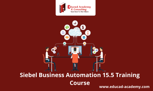 Siebel Business Automation 15.5 Training