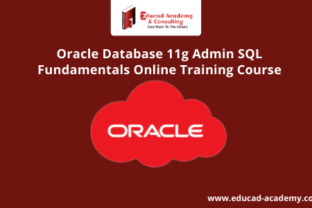 Oracle Database 11g Admin SQL Fundamentals Online Training Course