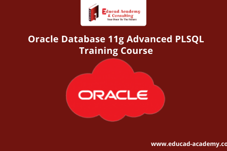 Oracle Database 11g Advanced PLSQL Training Course