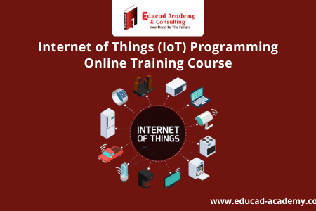 Internet of Things (IoT) Programming Online Training Course