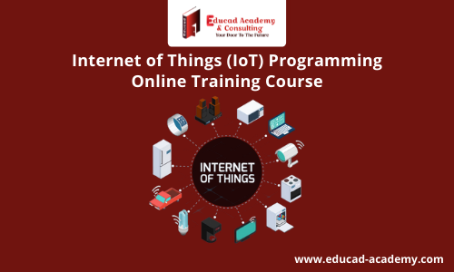 Internet of Things (IoT) Programming Training