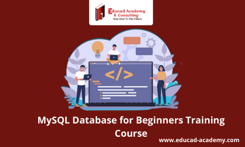MySQL Database for Beginners Training