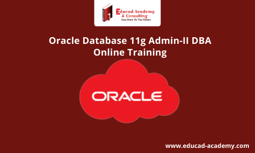 Oracle Database 11g Admin-II DBA Training