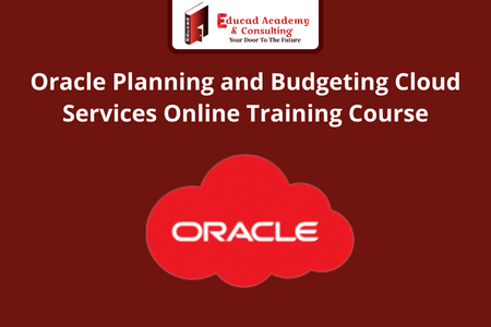 Oracle Planning and Budgeting Cloud Services Online Training Course