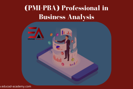 PMI-PBA-Certification-Training-in-Karachi