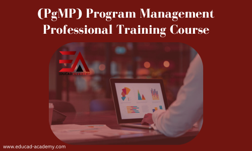 Program Management Professional Training (PgMP)