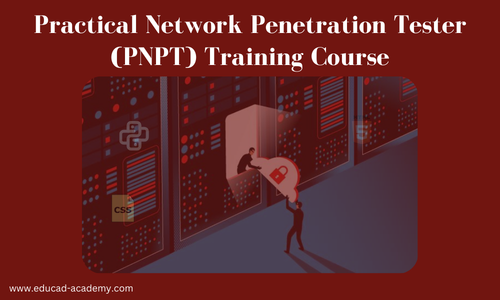 Practical Network Penetration Tester (PNPT) Training Course