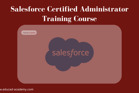 Salesforce Administrator Course in Karachi Lahore Islamabad Pakistan USA Dubai Canada UK Saudi Arabia Australia UAE
