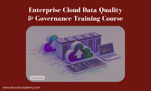 Enterprise Cloud Data Quality & Governance