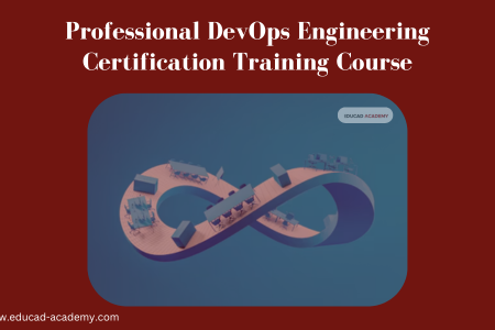 Professional DevOps Engineering Certification