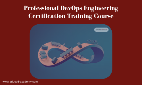 Professional DevOps Engineering Certification