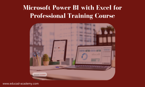 Microsoft Power BI with Excel Training for Professional