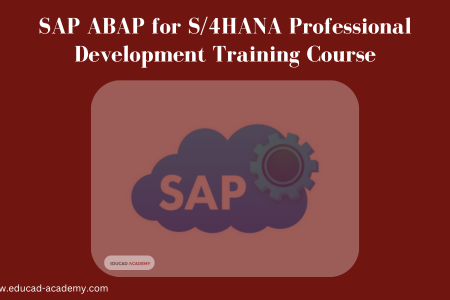 SAP ABAP for S/4HANA Professional Development Course in Karachi Lahore Islamabad Pakistan USA Dubai Canada UAE UK Saudi Arabia Australia